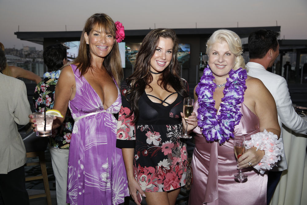 Summer Solstice Soiree Shines Brightly